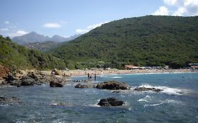 Les Asphodèles