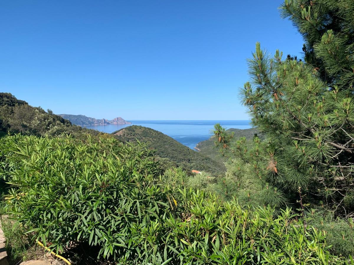 Appartamento Les Asphodèles Partinello Esterno foto