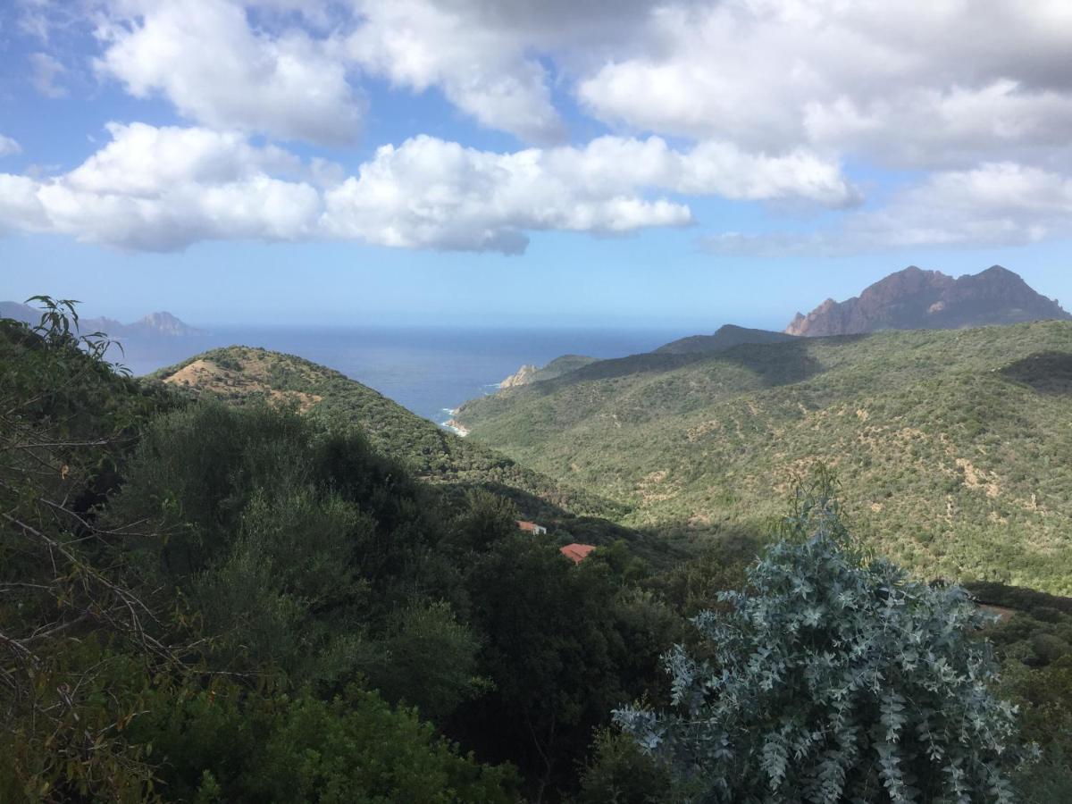 Appartamento Les Asphodèles Partinello Esterno foto